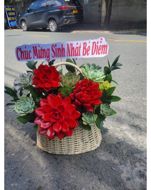 Giỏ hoa sen đá tone đỏ
