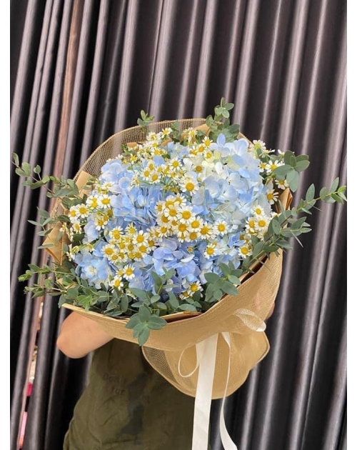 Bó hoa Cẩm Tú cầu mix cúc tana