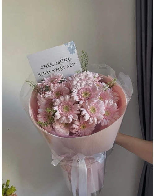 Bó hoa đồng tiền hồng