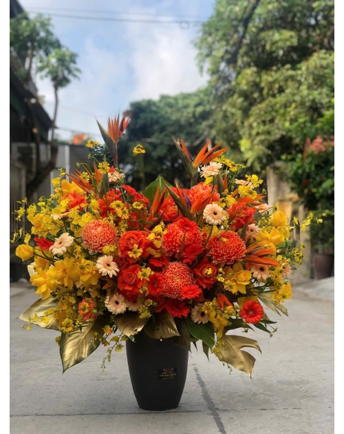 Chậu hoa cúc mẫu đơn to đẹp 