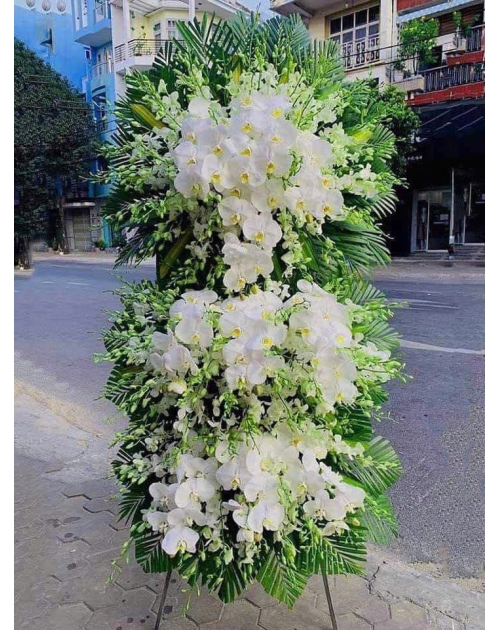 Kệ viếng lan hồ điệp to đẹp 