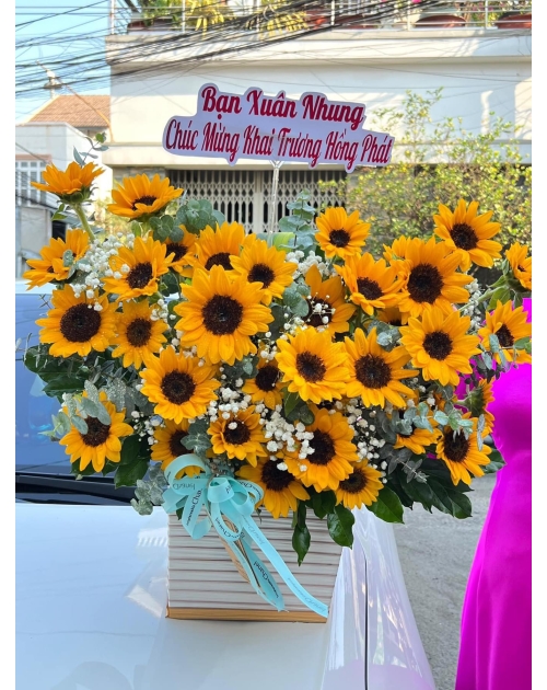 Giỏ hoa hướng dương tặng khai trương 