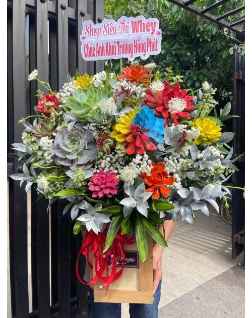 Giỏ hoa sen đá rực rỡ 