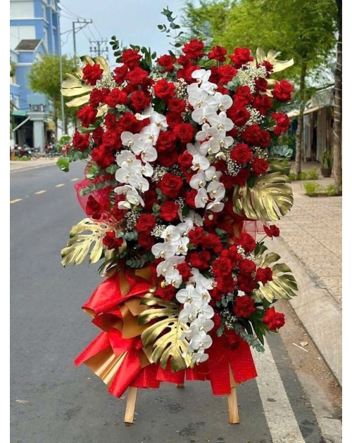 Kệ hoa chúc mừng lan hồ điệp 
