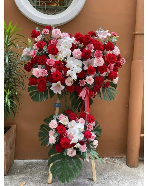 Kệ khai trương lan hồ điệp 