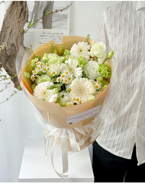 Bó hoa đồng tiền mix cúc tana 