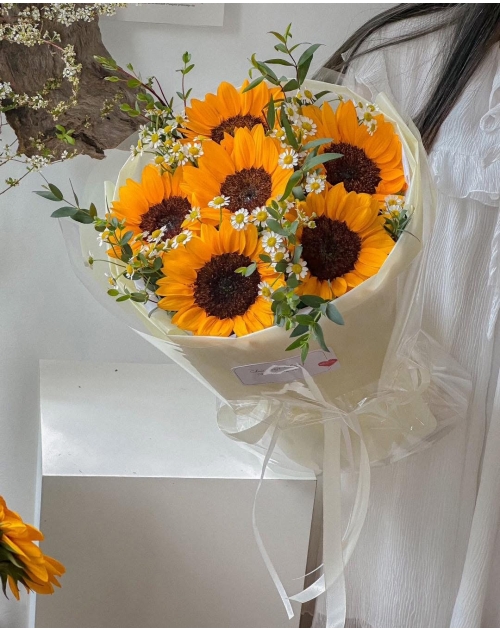 Bó hoa hướng dương mix cúc tana 