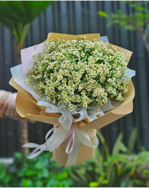 Bó hoa cúc tana rẻ nhất 