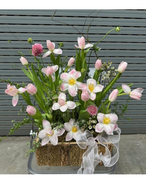 Hộp hoa tulip tại thủ Đức 