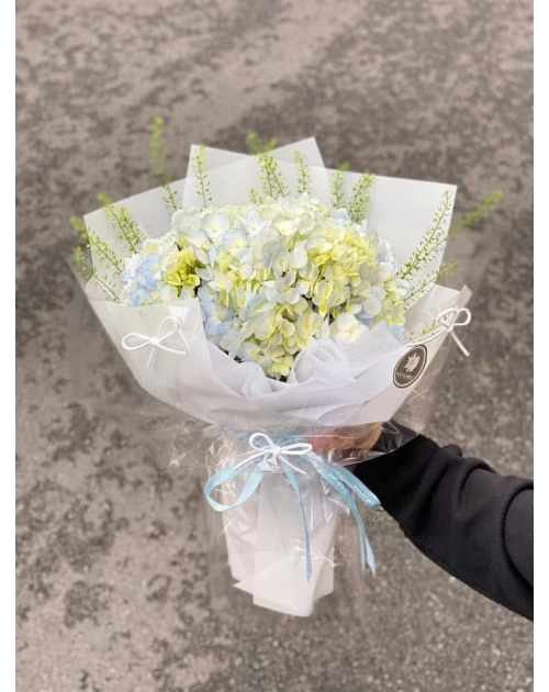 Bó hoa tốt nghiệp Cẩm Tú cầu 