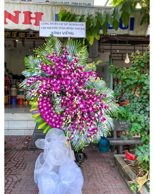 Kệ viếng lan tím rẻ nhất Sài Gòn 