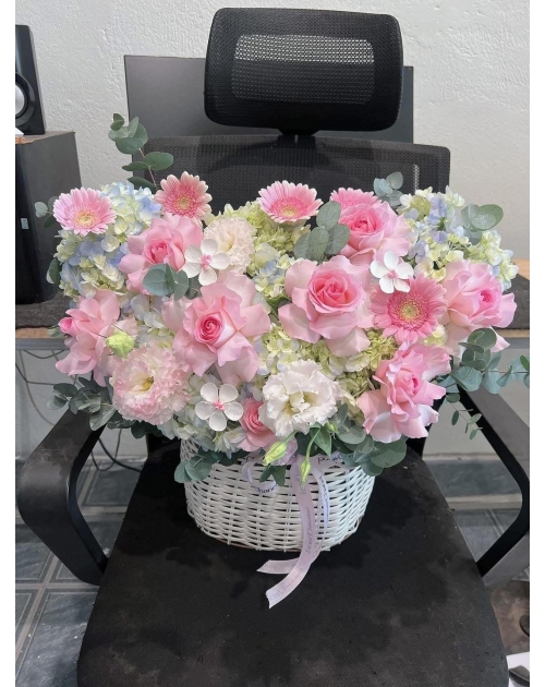 Giỏ hoa Cẩm tú cầu mix hoa hồng 
