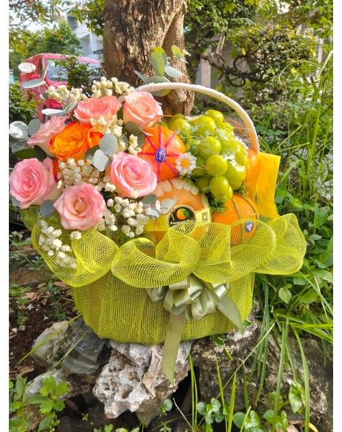 Giỏ trái cây bình dương giá rẻ