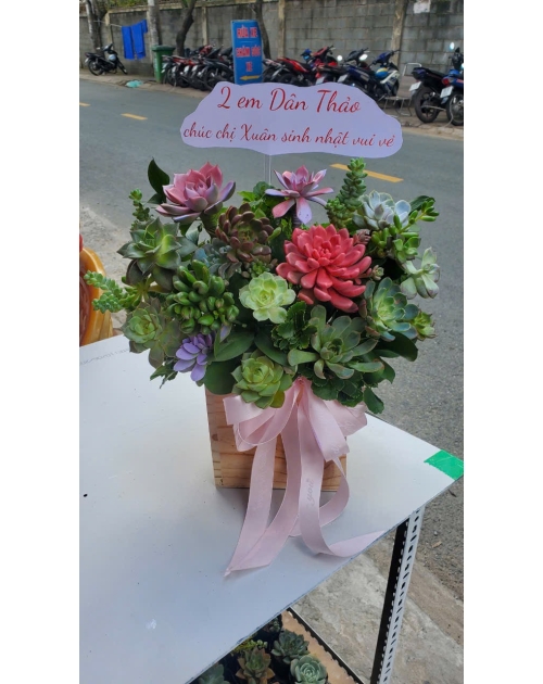 Bình hoa sen đá