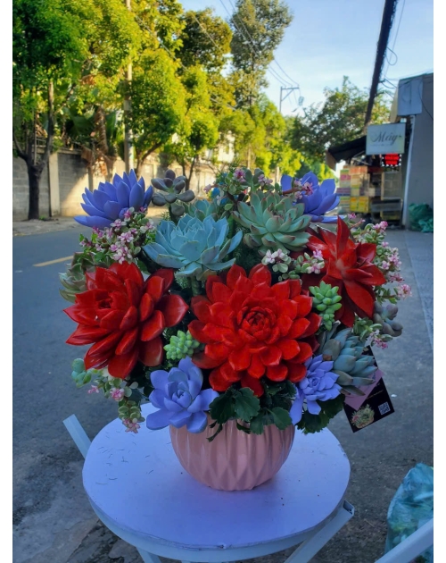 Hoa sen đá tại thuận an 