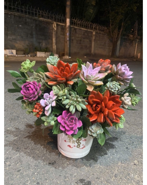 Hoa sen đá gần Thủ Đức, quận 9