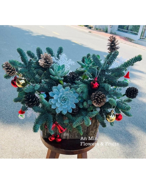 Giỏ hoa thông tươi 