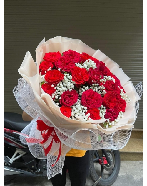 Bó hoa Hồng ohara tròn đỏ to đẹp 
