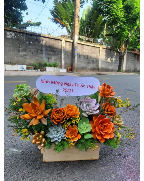 Hoa sen đá, shop hoa gần Thủ Đức, Bình Dương 