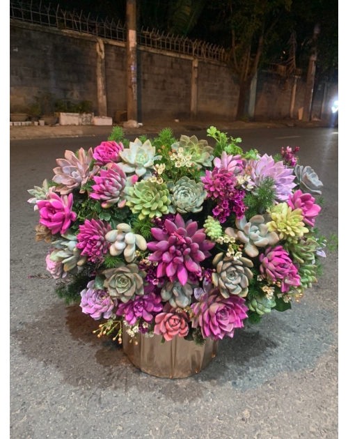 Giỏ sen đá to đẹp 