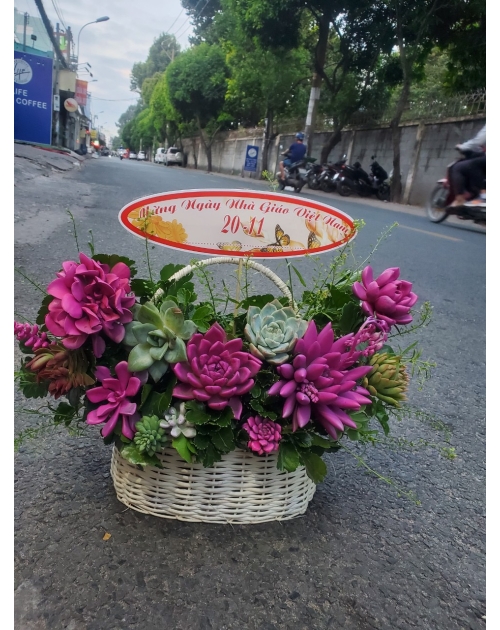 Hoa sen đá, shop hoa gần Thủ Đức, Bình Dương 