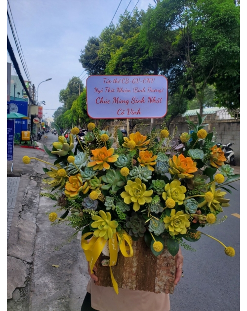 Giỏ hoa sen đá to cao cấp tặng công ty