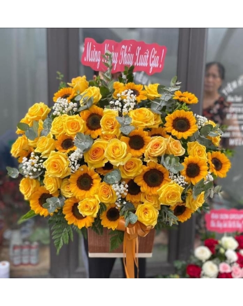 Giỏ hoa khai trương tone vàng, hướng dương phôi hoa hồng vàng 