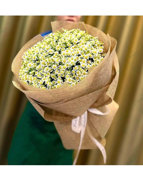 Bó hoa cúc tana bó kiểu Hàn
