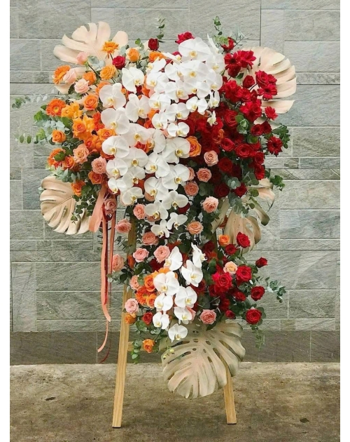 Kệ khai trương lan hồ điệp  to đẹp 