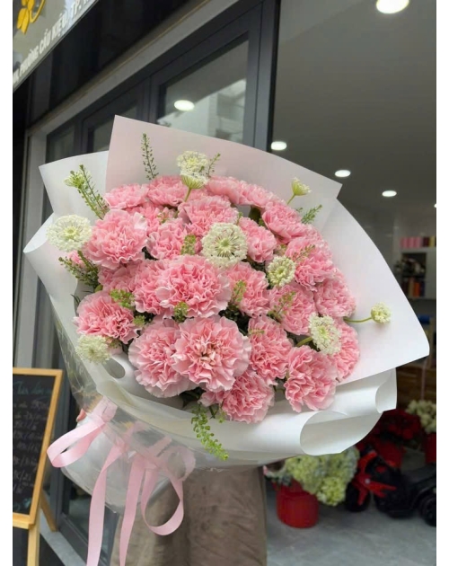 Cẩm chướng hồng 