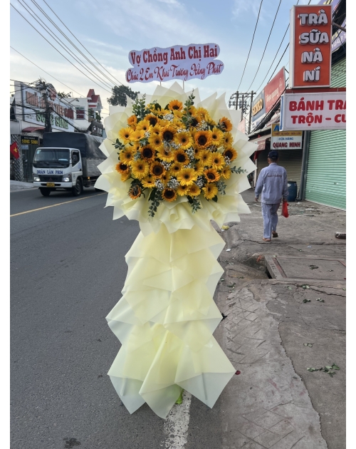 Măm quả cưới giá rẻ
