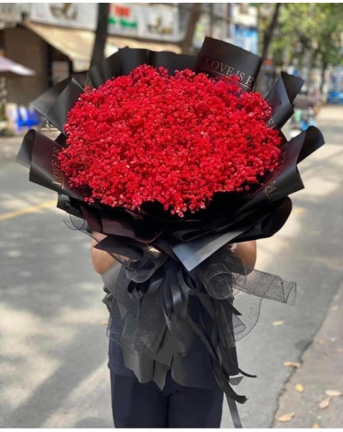Bó hoa bi khô màu đỏ to đẹp, sang trọng 