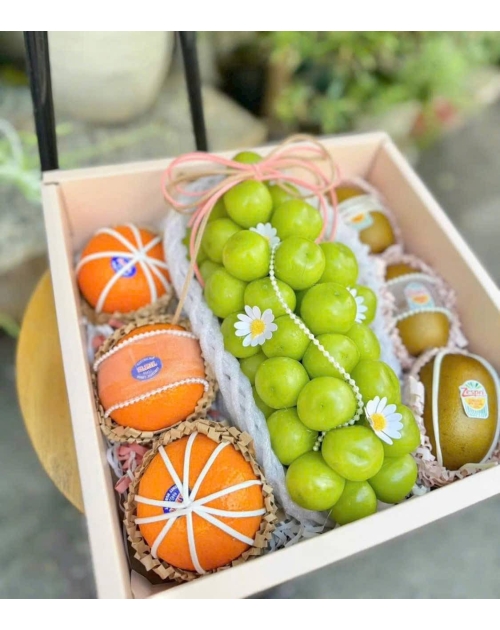 Hộp trái cây tặng thầy cô