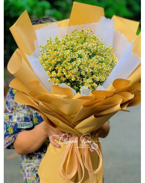 Bó hoa cúc họa Mi tặng sinh Nhật 