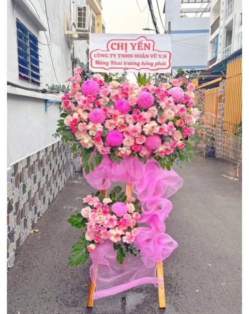 Kệ khai trương cúc mẫu đơn hồng Vĩnh phú