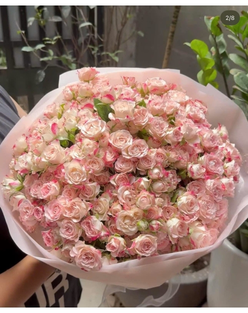 Bó hoa chiết xa quận 12