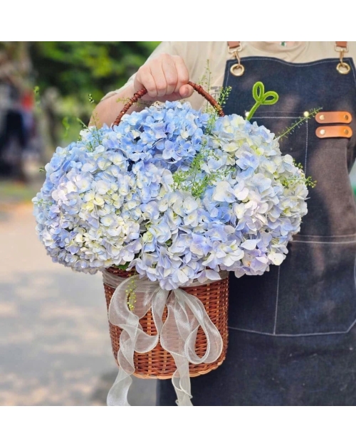 Giỏ hoa Cẩm Tú cầu  xanh dương 