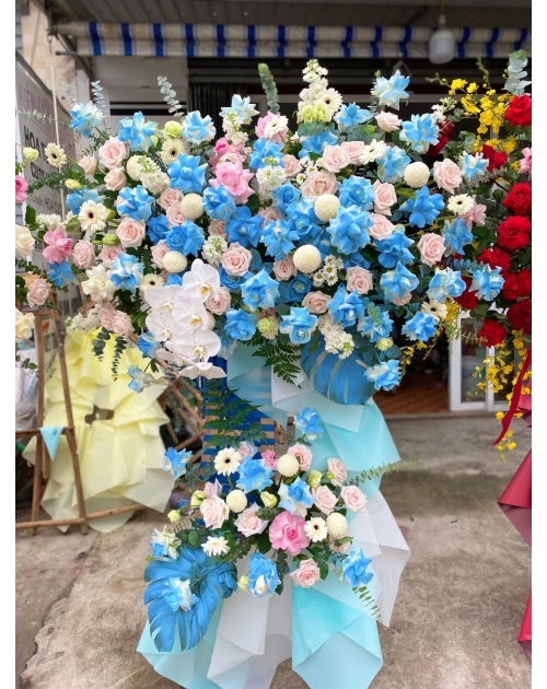 Kệ khai trương xanh dương tại Sài Gòn 