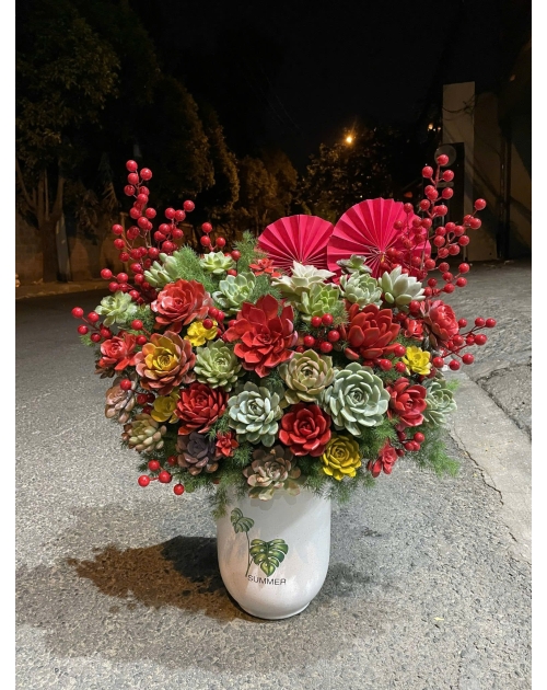 Hoa sen đá tại quận 2