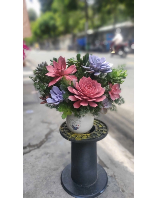 Giỏ hoa sen đá nhỏ xinh tặng sinh nhật 