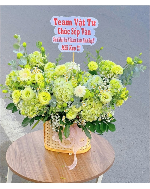Giỏ hoa Cẩm Tú cầu mix cúc tana