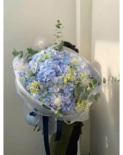 Bó hoa Cẩm Tú cầu khổng lồ 