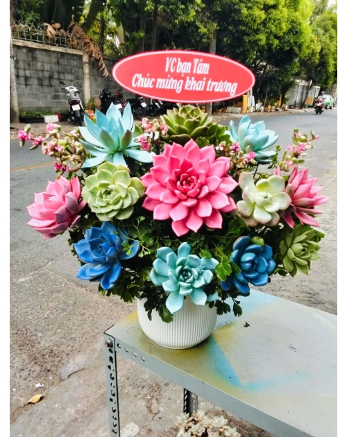 Giỏ hoa sen đá đi tiệc 