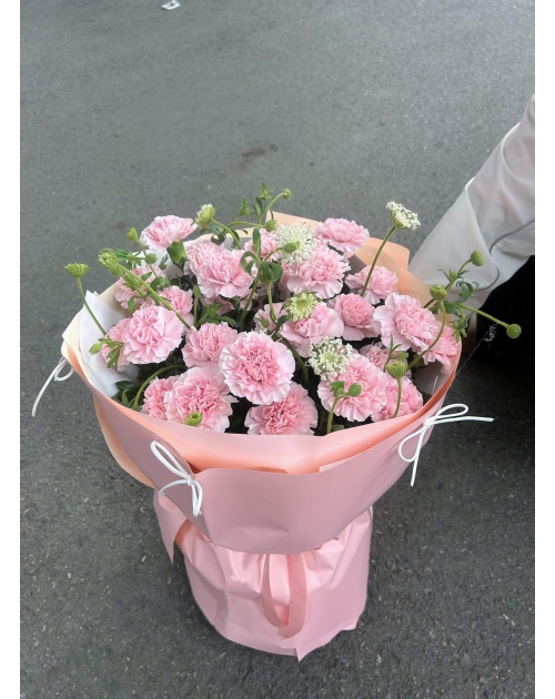 Bó hoa Cẩm chướng hồng 