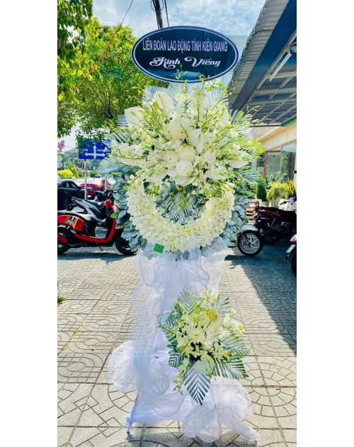 Kệ viếng lan trắng , Hồng môn trắng 