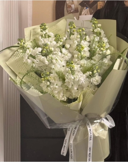 Bó hoa phi yến trắng