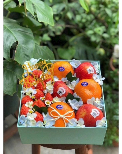Hộp trái cây tặng sếp