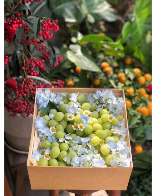 Hộp trái cây tặng sếp