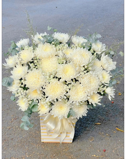 Giỏ cúc trắng 