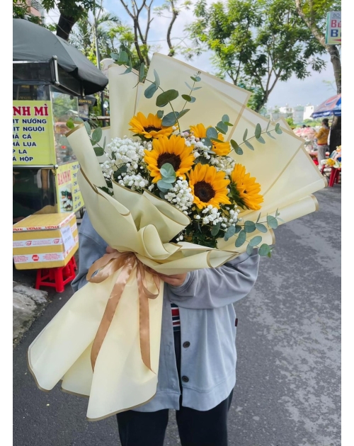 Hoa hướng dương baby